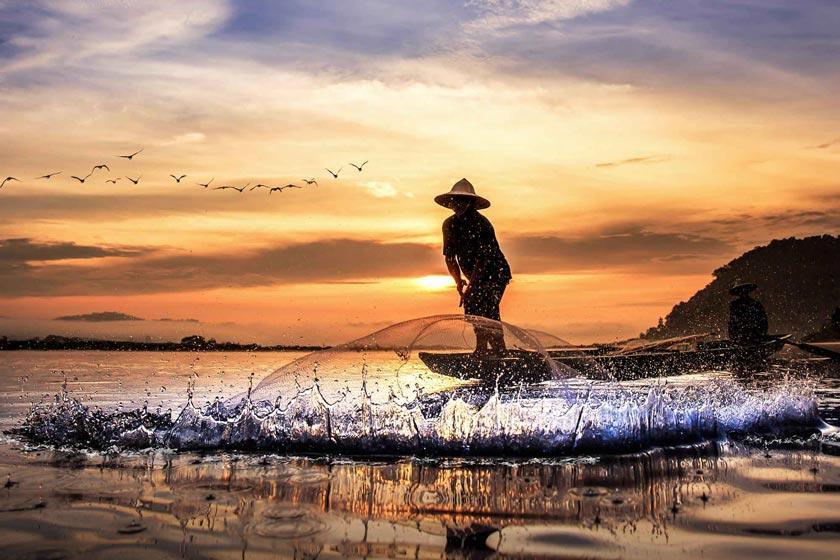 بینتولو در یک نگاه