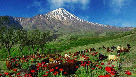 دره زمان ، رقیب سرسخت تنگه واشی!