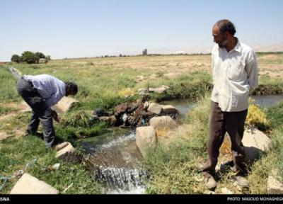 نیمی از آب کشاورزی صرف تولید خوراک دام می شود، سهم 75درصدی زراعت از بخش کشاورزی