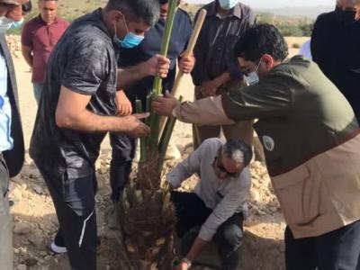 امور آبفا شهرستان های اوز و سپیدان اقدام به غرس درخت با نام شهدا نمودند